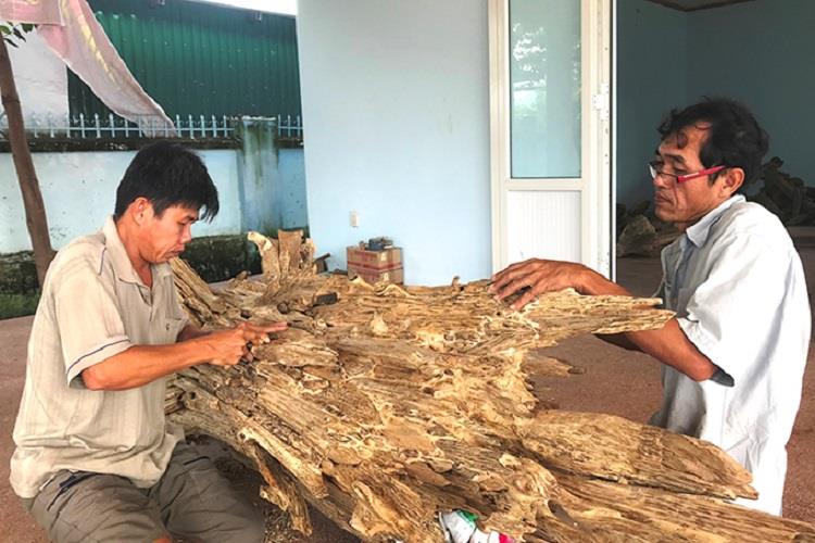 Công nhận Làng nghề xoi Trầm Hương Vạn Thắng là địa điểm có tiềm năng phát  triển du lịch cộng đồng